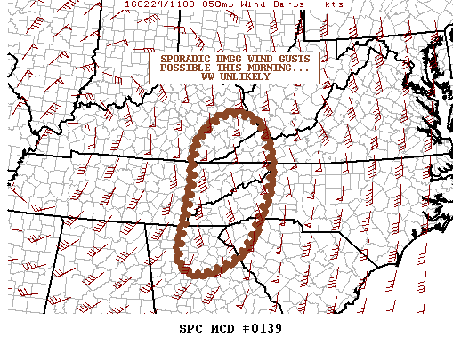 Mesoscale Discussion 139