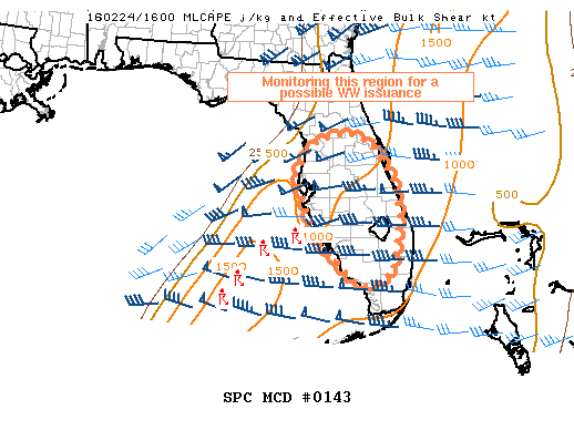 Mesoscale Discussion 143