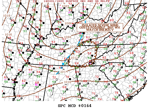 Mesoscale Discussion 164