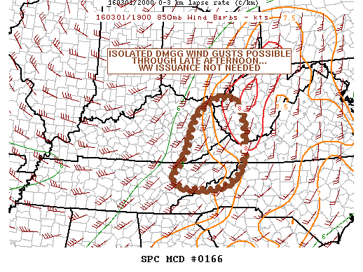 Mesoscale Discussion 166