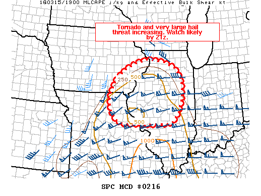 Mesoscale Discussion 216