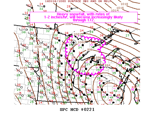 Mesoscale Discussion 221