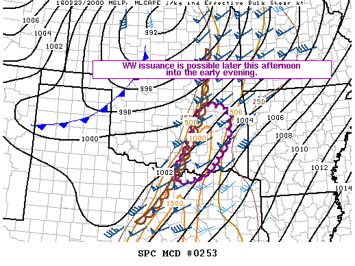 Mesoscale Discussion 253