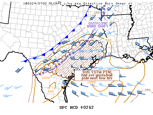 Mesoscale Discussion 262