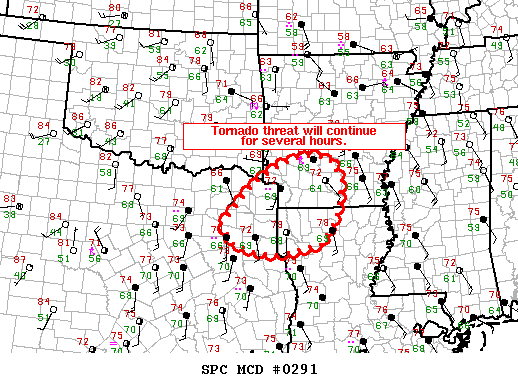 Mesoscale Discussion 291