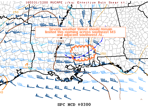 Mesoscale Discussion 300
