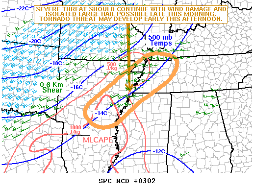 Mesoscale Discussion 302