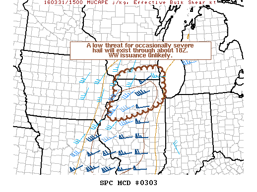 Mesoscale Discussion 303