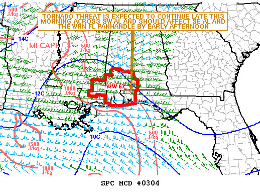 Mesoscale Discussion 304