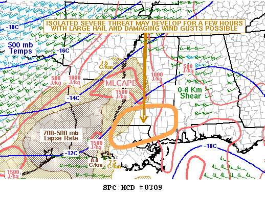 Mesoscale Discussion 309