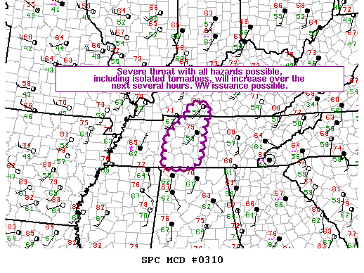 Mesoscale Discussion 310