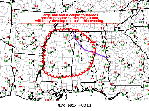 Mesoscale Discussion 311