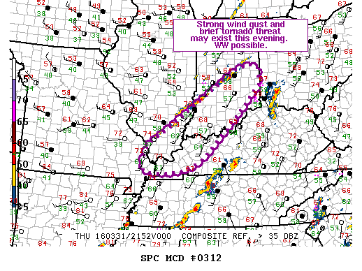 Mesoscale Discussion 312