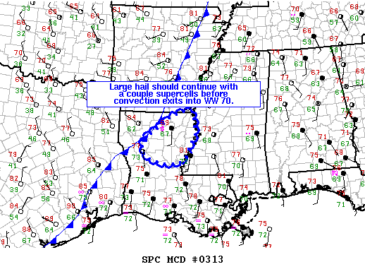 Mesoscale Discussion 313