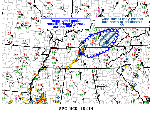 Mesoscale Discussion 314