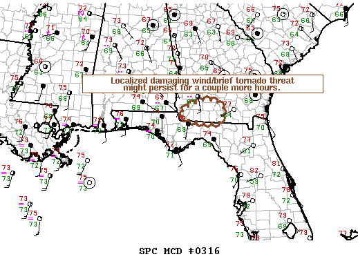Mesoscale Discussion 316