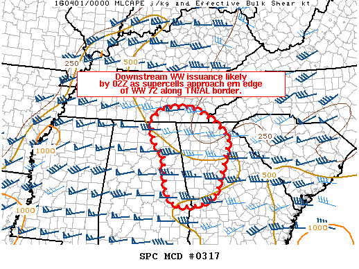 Mesoscale Discussion 317