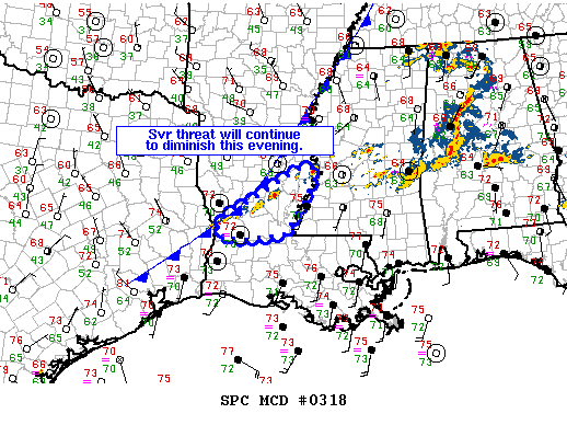 Mesoscale Discussion 318