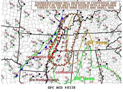 Mesoscale Discussion 338