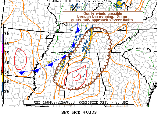 Mesoscale Discussion 339