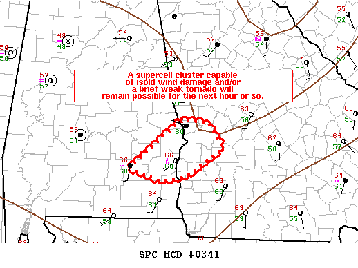 Mesoscale Discussion 341