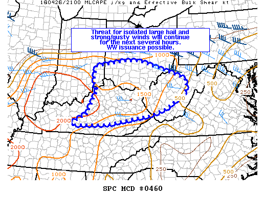 Mesoscale Discussion 460