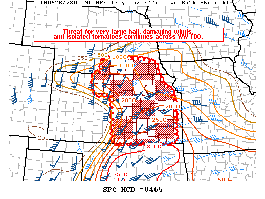 Mesoscale Discussion 465