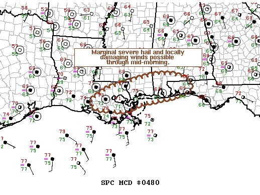 Mesoscale Discussion 480