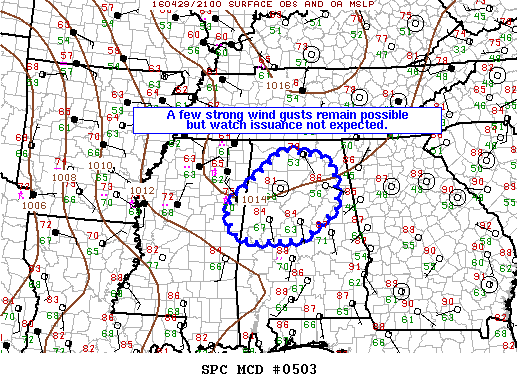 Mesoscale Discussion 503