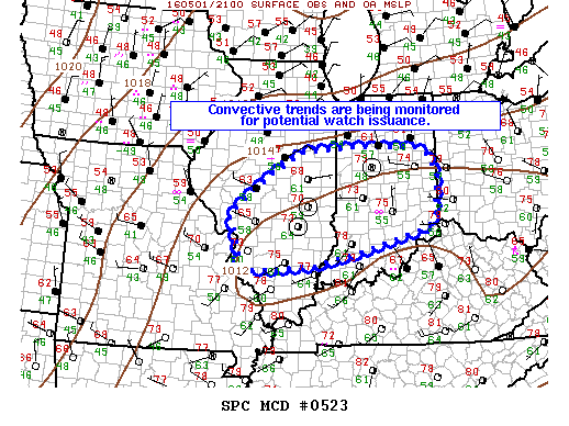 Mesoscale Discussion 523