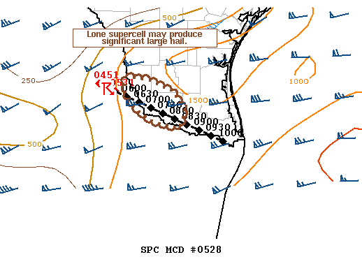 Mesoscale Discussion 528