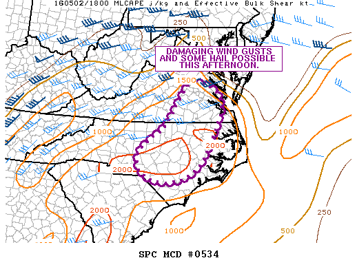 Mesoscale Discussion 534
