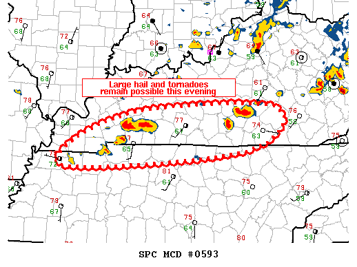 Mesoscale Discussion 593