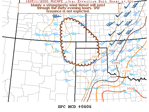 Mesoscale Discussion 606