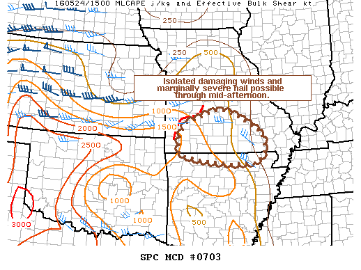 Mesoscale Discussion 703