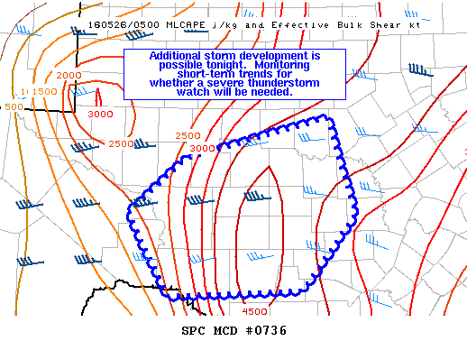 Mesoscale Discussion 736
