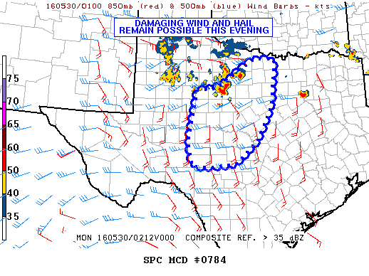 Mesoscale Discussion 784