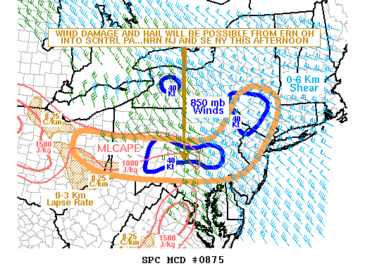 Mesoscale Discussion 875