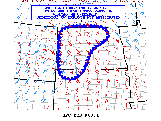Mesoscale Discussion 881