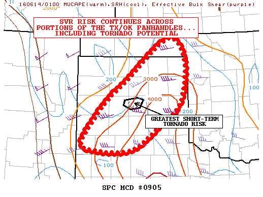 Mesoscale Discussion 905