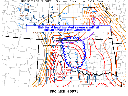 Mesoscale Discussion 973