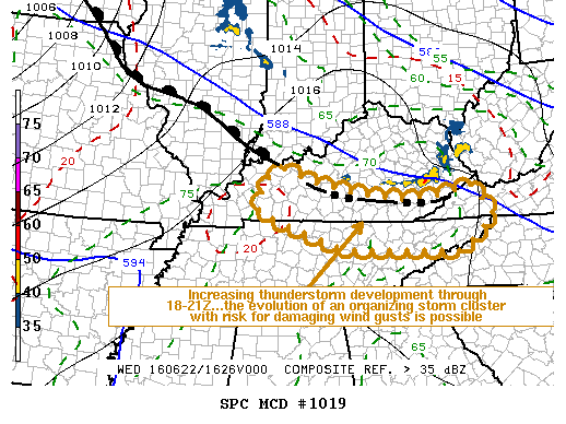 Mesoscale Discussion 1019