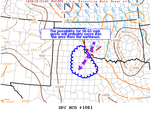 Mesoscale Discussion 1081