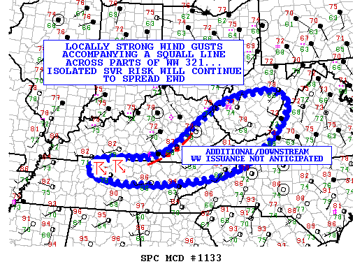 Mesoscale Discussion 1133
