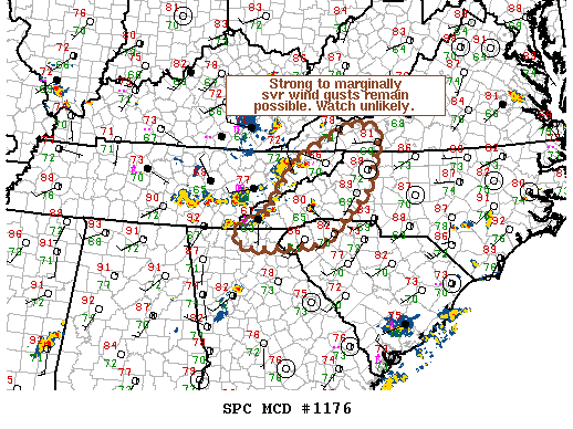 Mesoscale Discussion 1176