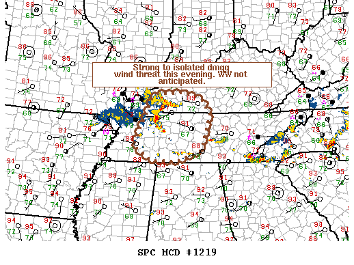 Mesoscale Discussion 1219