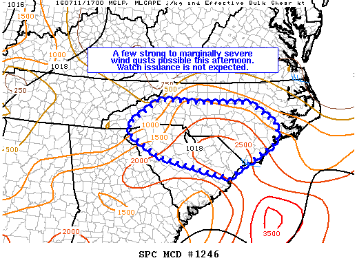 Mesoscale Discussion 1246