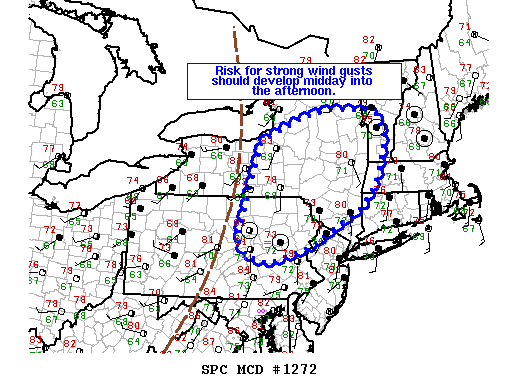 Mesoscale Discussion 1272