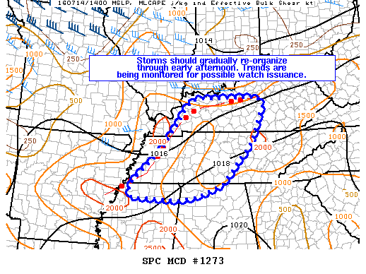 Mesoscale Discussion 1273