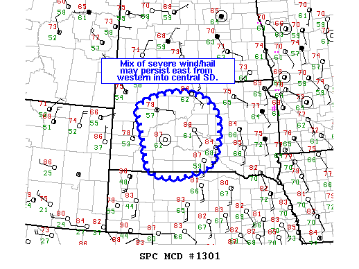 Mesoscale Discussion 1301